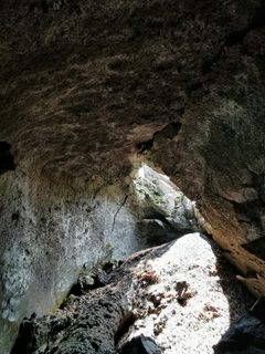 Grotta Uccellatore